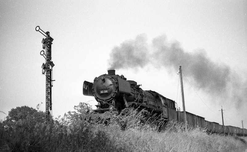 50 319 vor Gz; Bf Münster Mecklenbeck