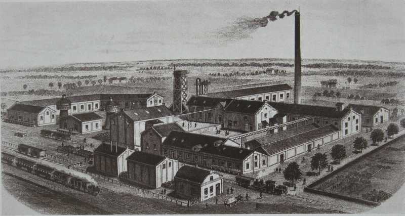 Ph. & Aug. van Schayck, Dampf-Ölmühlenwerke