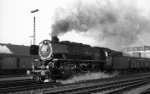 44 1365, vor Güterzug; Bf Münster Hbf