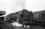 03 1054, Anfahrt vor D 282; Bf Münster Hbf