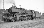 50 3157; Bw-Ast Coesfeld