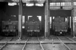 50 2267, 50 2267, 50 500 und 50 2886; Bf Dillingen