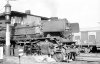 Dampflokomotive: 03 1021, rangiert; Bf Münster Hbf