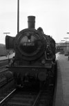 Dampflokomotive: 38 4003, vor Zug; Bf Münster Hbf