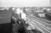 Dampflokomotive: 01 228, vor Schnellzug aus Emden; Bf Münster Hbf