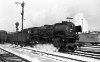 Dampflokomotive: 01 194, vor D 66; Bf Münster Hbf