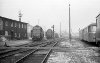 Dampflokomotive: 01 172, neben 01 134; Bw Münster