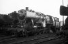 Dampflokomotive: 50 289; Bw Osnabrück Rbf