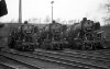 Dampflokomotive: 50 2434, 50 3042 und 50 2339; Bw Schwerte