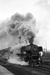 Dampflokomotive: 03 1001, vor D 282 nach Frankfurt; Bf Münster Hbf