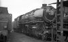 Dampflokomotive: 44 344; Bw Ehrang