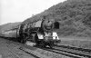 Dampflokomotive: 03 248, in Fahrt vor Zug; Bf Karthaus