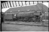 Dampflokomotive: 41 095; Bf Münster Hbf