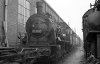 Dampflokomotive: 55 5040, abgestellt; AW Lingen