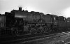 Dampflokomotive: 50 2448; Bw Emden