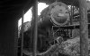 Dampflokomotive: 52 887, Heizlok 28293; Bw Goslar