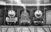 Dampflokomotive: 01 179, 94 1041 und 01 159; Bw Hannover Hgbf