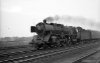 Dampflokomotive: 01 161, vor Zug; Bf Buchholz Kr. Harburg