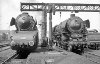 Dampflokomotive: 10 001, steht neben 01 1091; Bw Münster