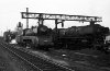 Dampflokomotive: 10 001; 01 1099, 01 1062; Bw Münster