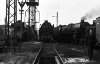 Dampflokomotive: 10 001, 01 1099 und 01 1070; Bw Münster