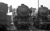 Dampflokomotive: 44 1219, zw. 41 015 und 50 1878; Bw Osnabrück Rbf