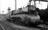 Dampflokomotive: 10 001; Bw Münster