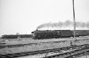 Dampflokomotive: 01 1066 vor D 596; Bf Kirchweyhe