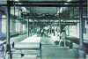 Bauartikel-Fabrik A. Siebel: A. Siebel, Düsseldorf: Dachpappenproduktion
